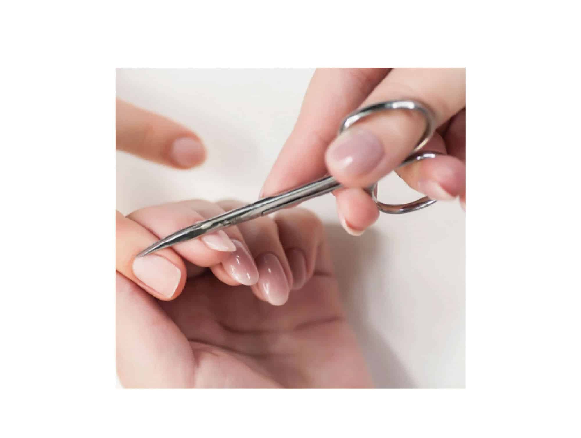 Ciseaux à ongles en inox - Lames droites