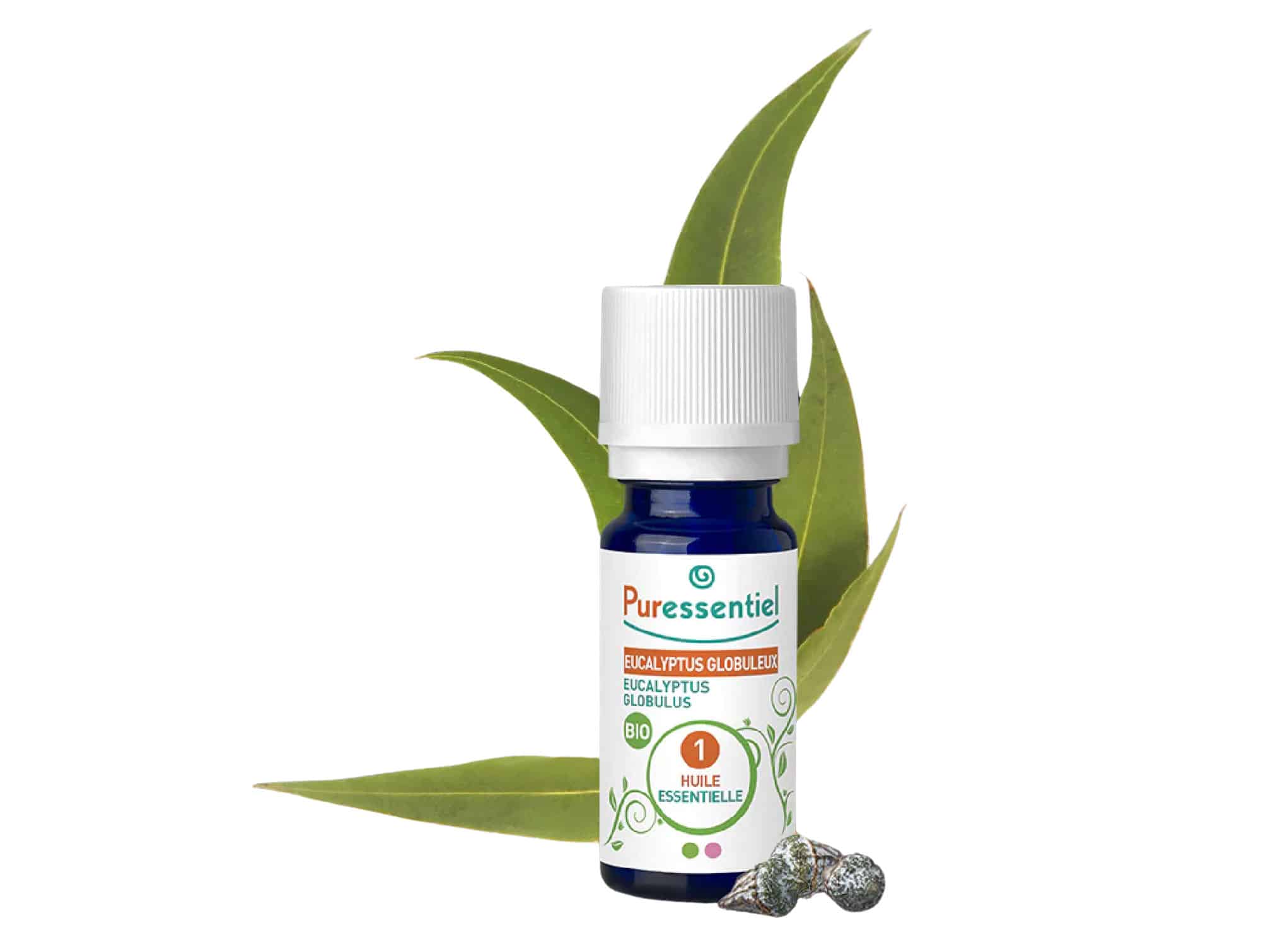 Huile Essentielle Eucalyptus Globuleux BIO 10ML