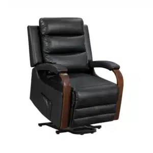 Fauteuil Releveur Électrique en Cuir Noir